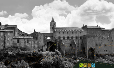 Il Medioevo, l’epoca d’oro di Viterbo
