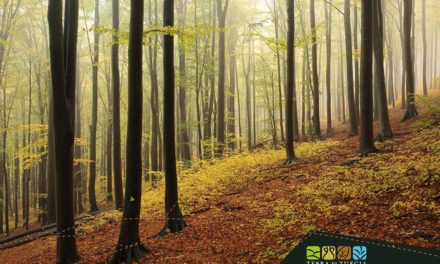 Un autunno dal sapore di castagne nella Tuscia