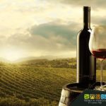 The best wines from Tuscia